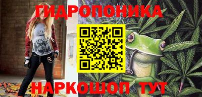 спайс Будённовск